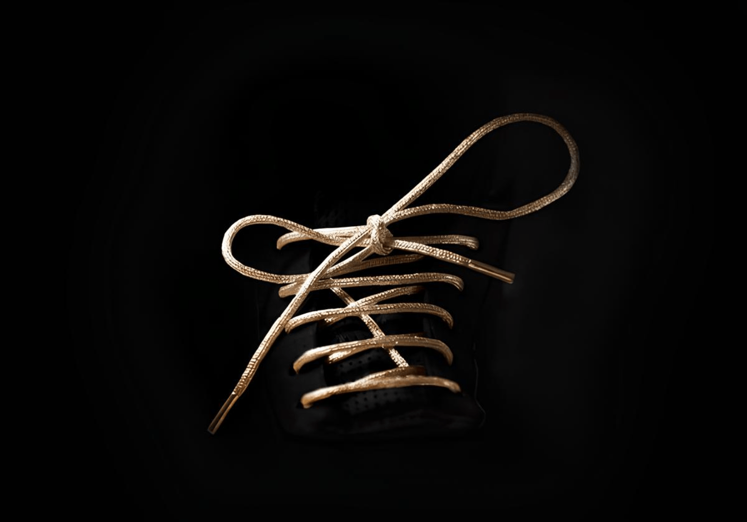 immagine — katch